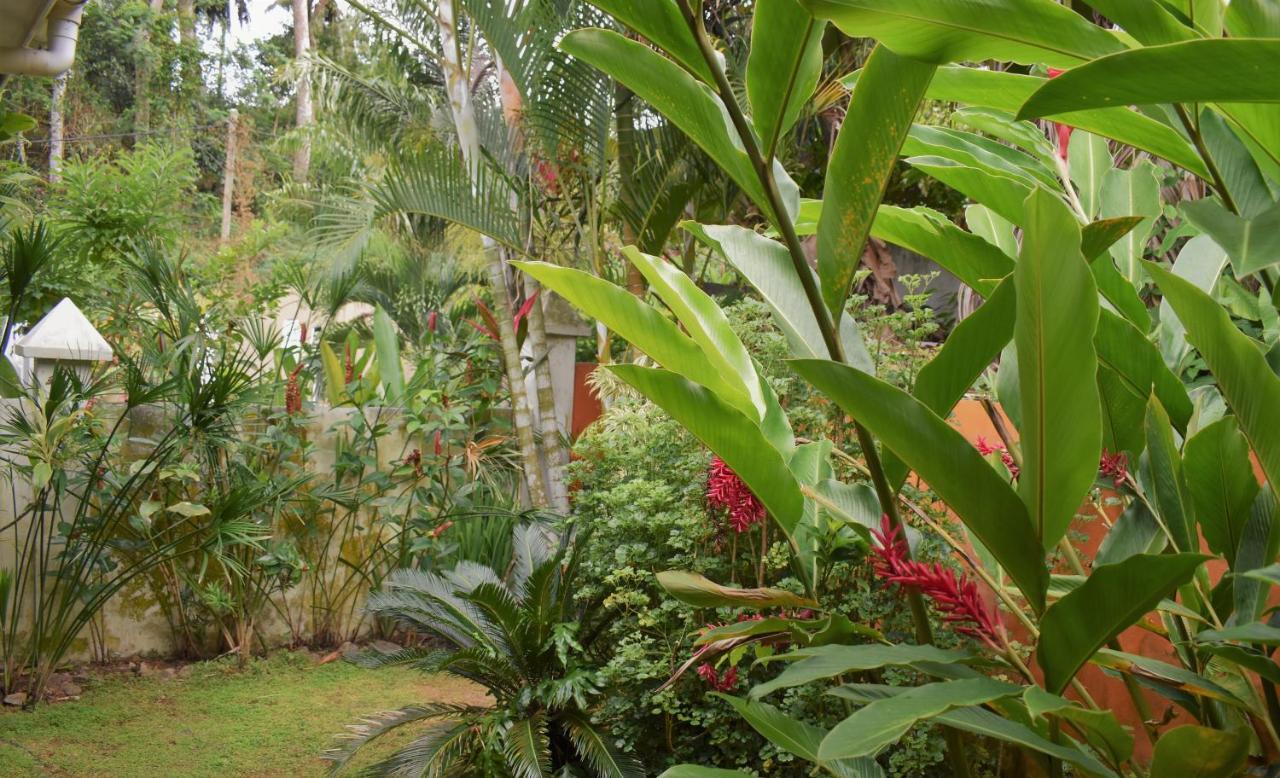 Sunbird Bungalow Anse Boileau Luaran gambar